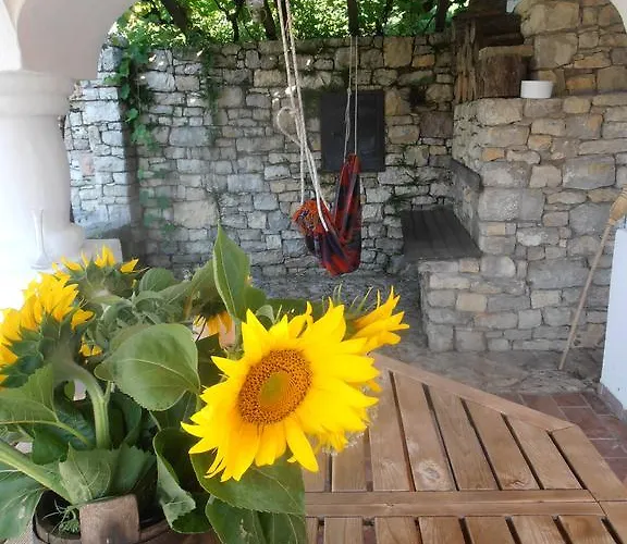 Casa de Férias Tik Hegyi Ház